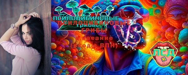 мет Аркадак