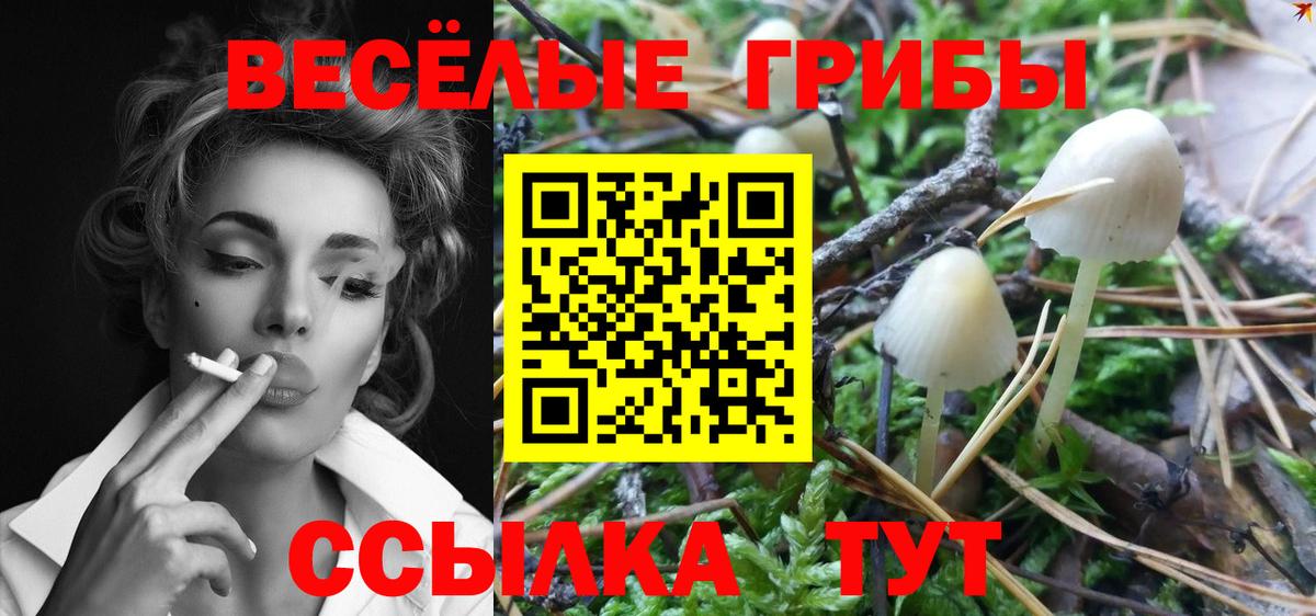 Галлюциногенные грибы Magic Shrooms  Вход с VPN  Тулун 