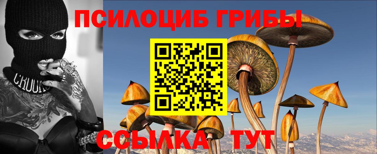 Псилоцибиновые грибы мицелий Тулун